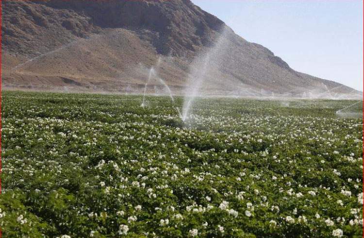 افتتاح ۱۰۰۴ پروژه آب و خاک در هفته دولت